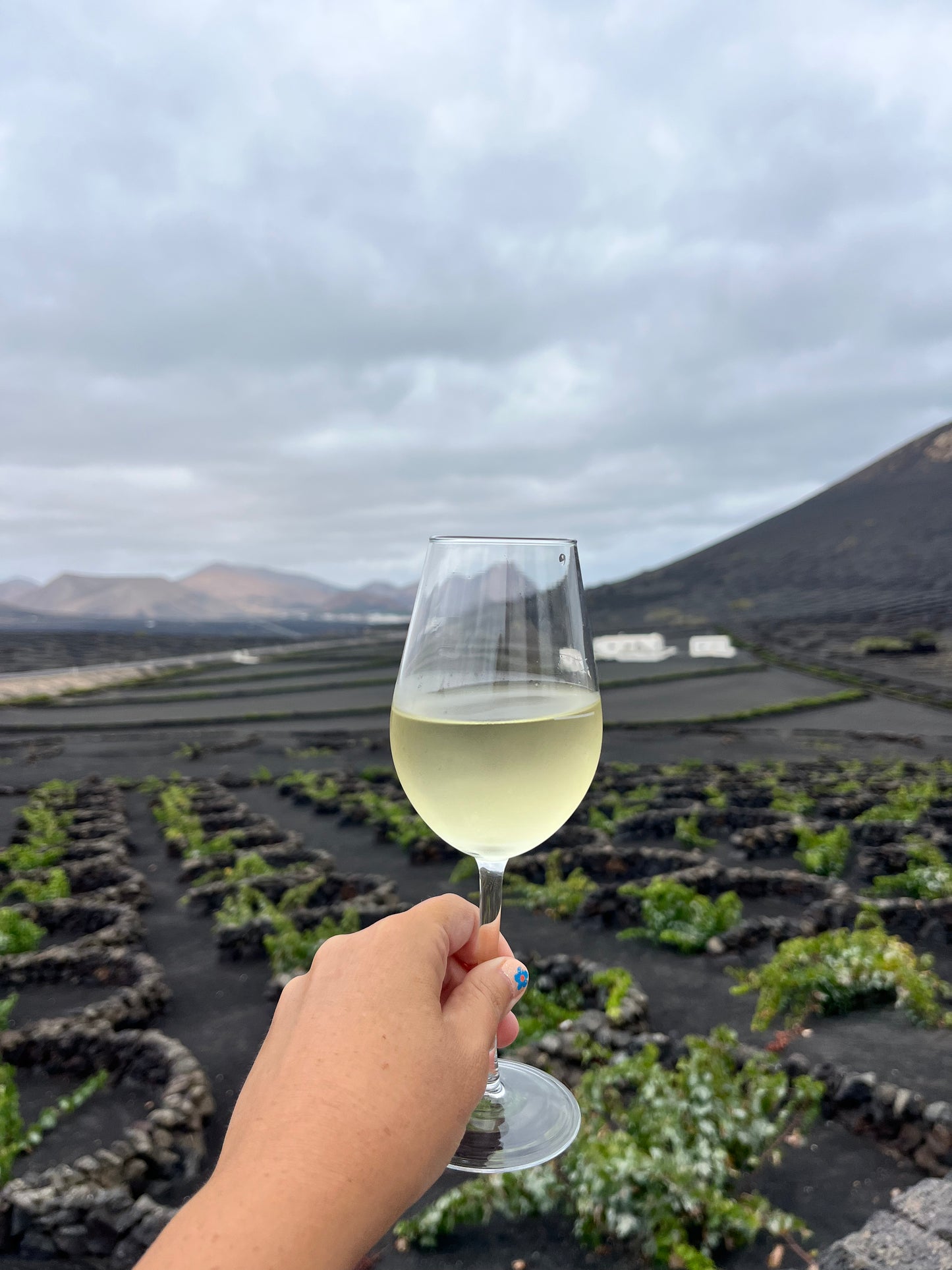Experiencia Artística entre viñedos y volcanes
