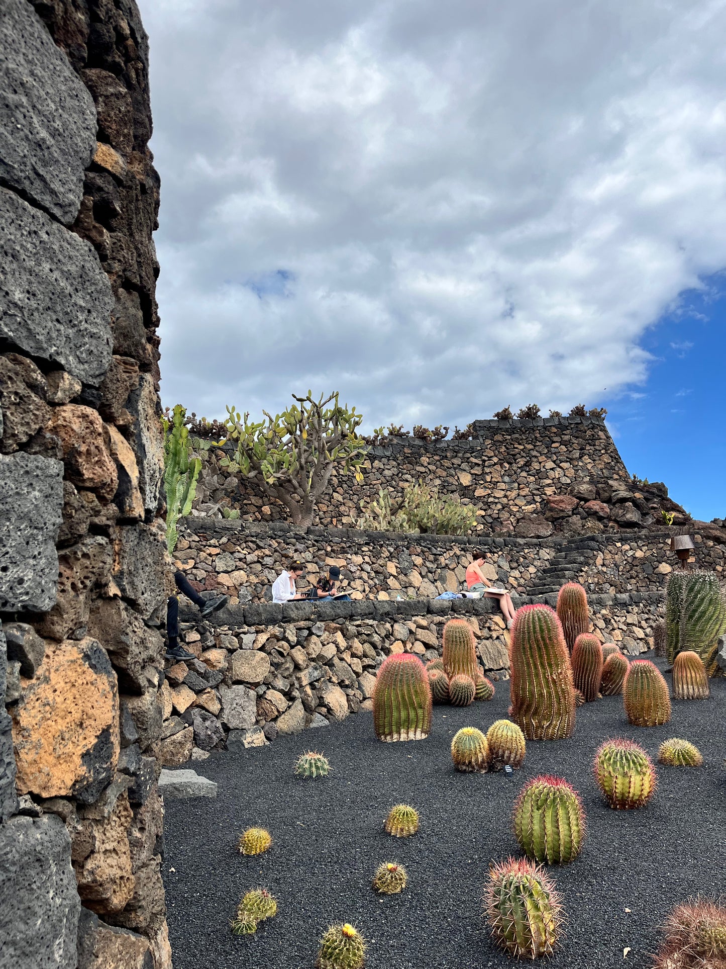 Jardín de Cactus Art Day Experience